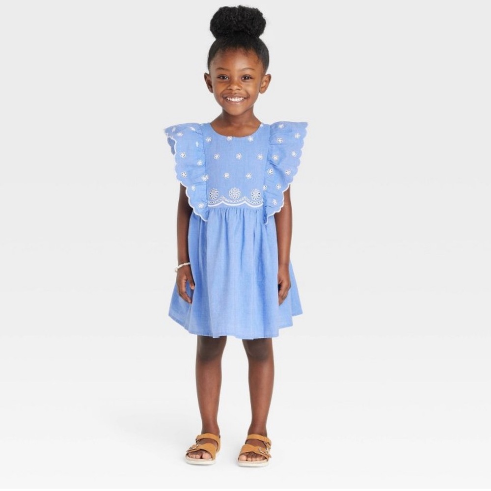 Cat and Jack Toddler Chambray Lace Dress